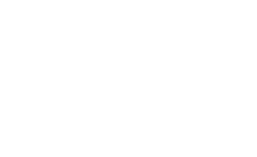 igor-zimin